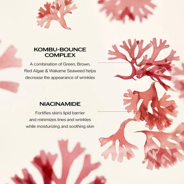 Benefiance Wrinkle Smoothing Day Cream SPF 23